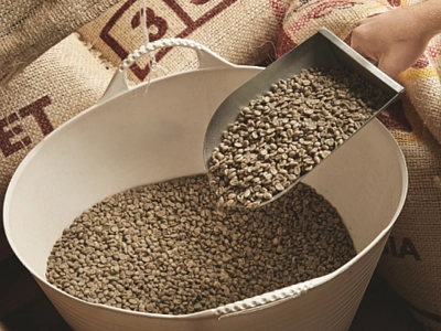 Что такое specialty coffee и чем он отличается от обычного?